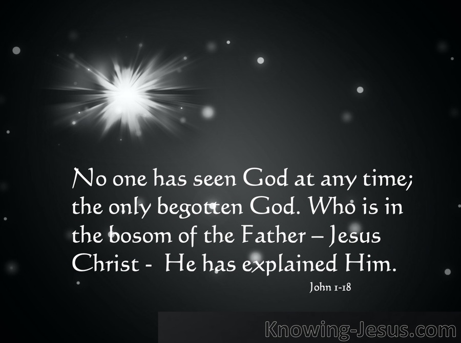 John 1:18:No one has ever seen NAVY